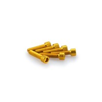 PUIG KIT VITI ANODIZZATE GIALLO - COD. 0544G - Testa cilindrica, cava esagonale. Blister da 6 pezzi. Misura M6 x 25 mm. PUIG KIT VITI ANODIZZATE GIALLO - COD. 0544G - Testa cilindrica, cava esagonale. Blister da 6 pezzi. Misura M6 x 25 mm.
