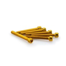 PUIG KIT VITI ANODIZZATE GIALLO - COD. 0370G - Testa cilindrica, cava esagonale. Blister da 6 pezzi. Misura M6 x 45 mm. PUIG KIT VITI ANODIZZATE GIALLO - COD. 0370G - Testa cilindrica, cava esagonale. Blister da 6 pezzi. Misura M6 x 45 mm.