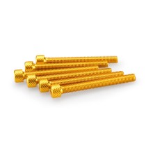 PUIG KIT VITI ANODIZZATE GIALLO - COD. 0446G - Testa cilindrica, cava esagonale. Blister da 6 pezzi. Misura M6 x 55 mm. PUIG KIT VITI ANODIZZATE GIALLO - COD. 0446G - Testa cilindrica, cava esagonale. Blister da 6 pezzi. Misura M6 x 55 mm.