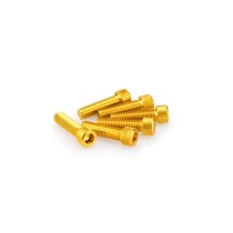 PUIG KIT VITI ANODIZZATE GIALLO - COD. 0473G - Testa cilindrica, cava esagonale. Blister da 6 pezzi. Misura M8 x 30 mm. PUIG KIT VITI ANODIZZATE GIALLO - COD. 0473G - Testa cilindrica, cava esagonale. Blister da 6 pezzi. Misura M8 x 30 mm.