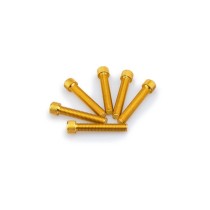 PUIG KIT VITI ANODIZZATE GIALLO - COD. 0516G - Testa cilindrica, cava esagonale. Blister da 6 pezzi. Misura M8 x 45 mm. PUIG KIT VITI ANODIZZATE GIALLO - COD. 0516G - Testa cilindrica, cava esagonale. Blister da 6 pezzi. Misura M8 x 45 mm.