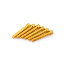 PUIG KIT VITI ANODIZZATE GIALLO - COD. 0524G - Testa cilindrica, cava esagonale. Blister da 6 pezzi. Misura M8 x 50 mm. PUIG KIT VITI ANODIZZATE GIALLO - COD. 0524G - Testa cilindrica, cava esagonale. Blister da 6 pezzi. Misura M8 x 50 mm.