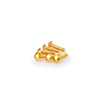 PUIG KIT VITI ANODIZZATE GIALLO - COD. 0550G - Testa tonda, cava esagonale. Blister da 6 pezzi. Misura M5 x 20 mm. PUIG KIT VITI ANODIZZATE GIALLO - COD. 0550G - Testa tonda, cava esagonale. Blister da 6 pezzi. Misura M5 x 20 mm.