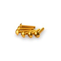 PUIG KIT VITI ANODIZZATE GIALLO - COD. 0610G - Testa tonda, cava esagonale. Blister da 6 pezzi. Misura M5 x 25 mm. PUIG KIT VITI ANODIZZATE GIALLO - COD. 0610G - Testa tonda, cava esagonale. Blister da 6 pezzi. Misura M5 x 25 mm.