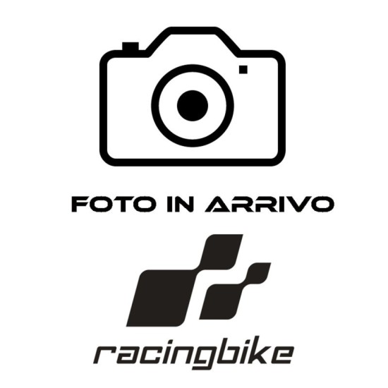 RACINGBIKE TELAIO ANTERIORE + CONDOTTO ARIA BMW S1000 RR 2019-2023 NERO- STRUMENTO ORIGINALE